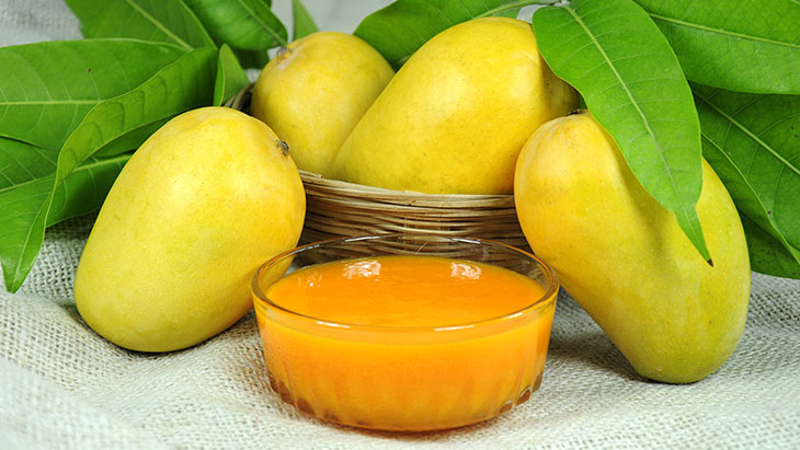 experiencia Grasa Correo aéreo Pulpa de mango, un excelente producto orgánico listo para utilizarse -  Frhomimex